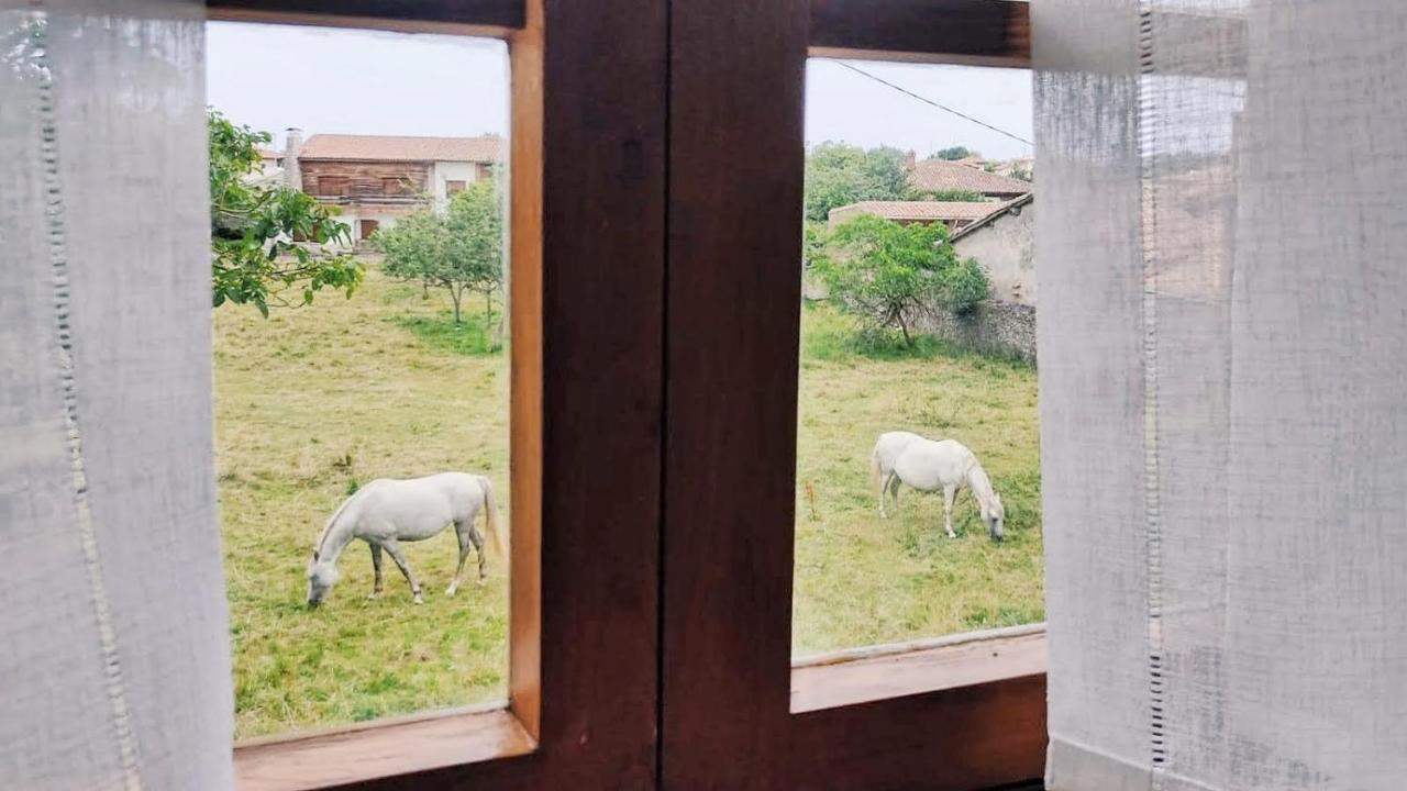 Casa Dolfin - "Tu Hogar En La Costa Del Paraiso" Pension Navés Buitenkant foto