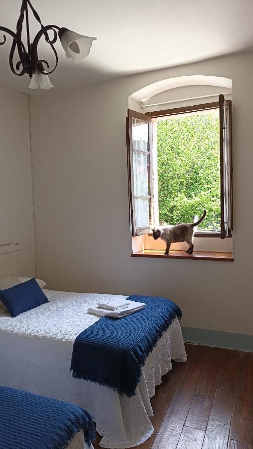 Casa Dolfin - "Tu Hogar En La Costa Del Paraiso" Pension Navés Buitenkant foto
